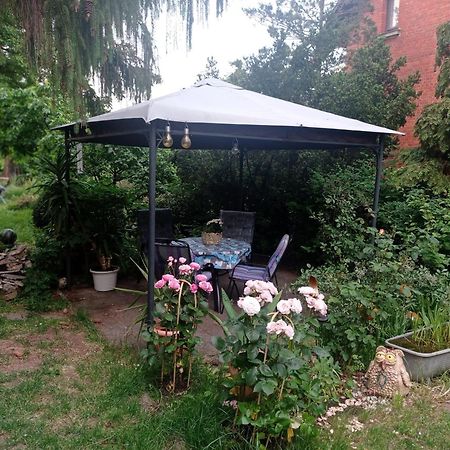 Ferienwohnung Markert ブランケンブルク 部屋 写真